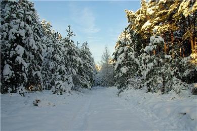 《极限竞速：地平线5》三星杯秋季赛第二阶段报名通道火热进行中！